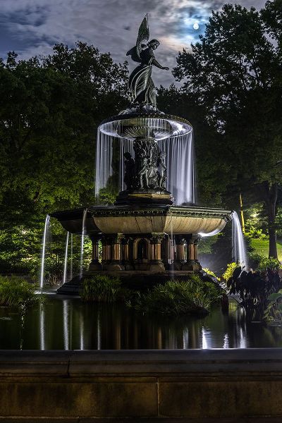 Looney, Hollice 아티스트의 USA-New York Central Park작품입니다.